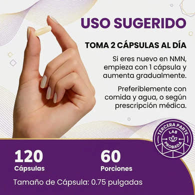 carrousel-de-imagenes__slide_4_image_a66f19.webp