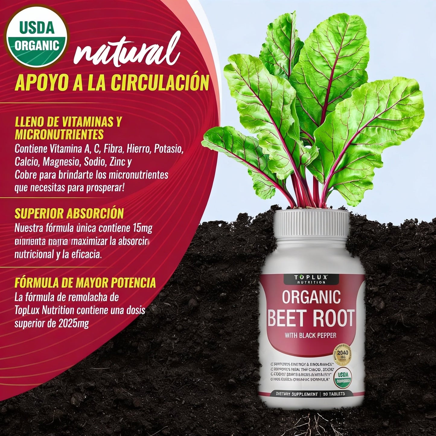 BEET ROOT [PV1-WHATSAPP-ELITEZONEMARKET]